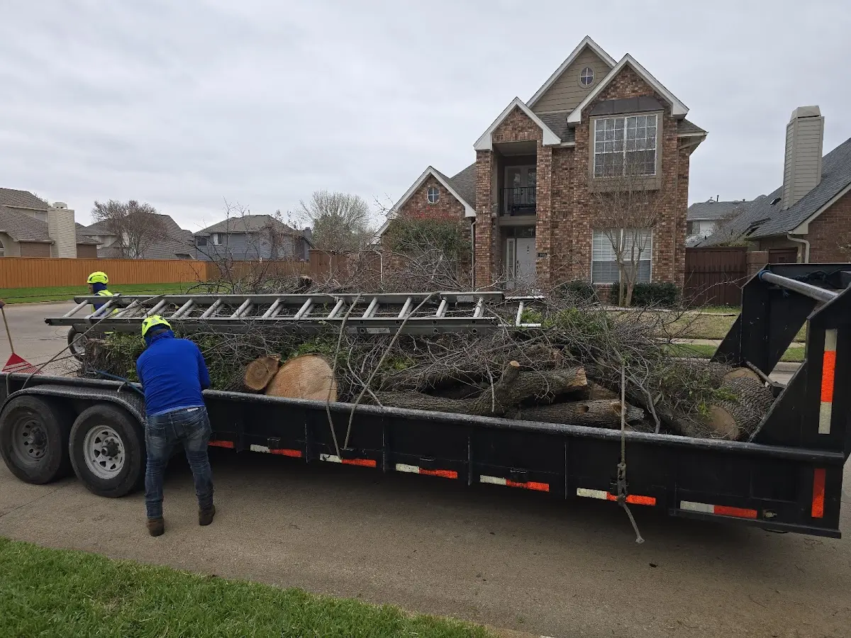 Expert Crown Reduction with proper safety equipment in West Leyden